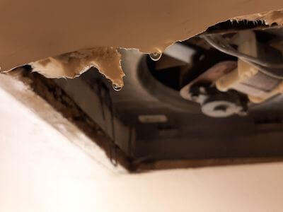 Professional ceiling water damage repair services in Bowie - water damage cleanup